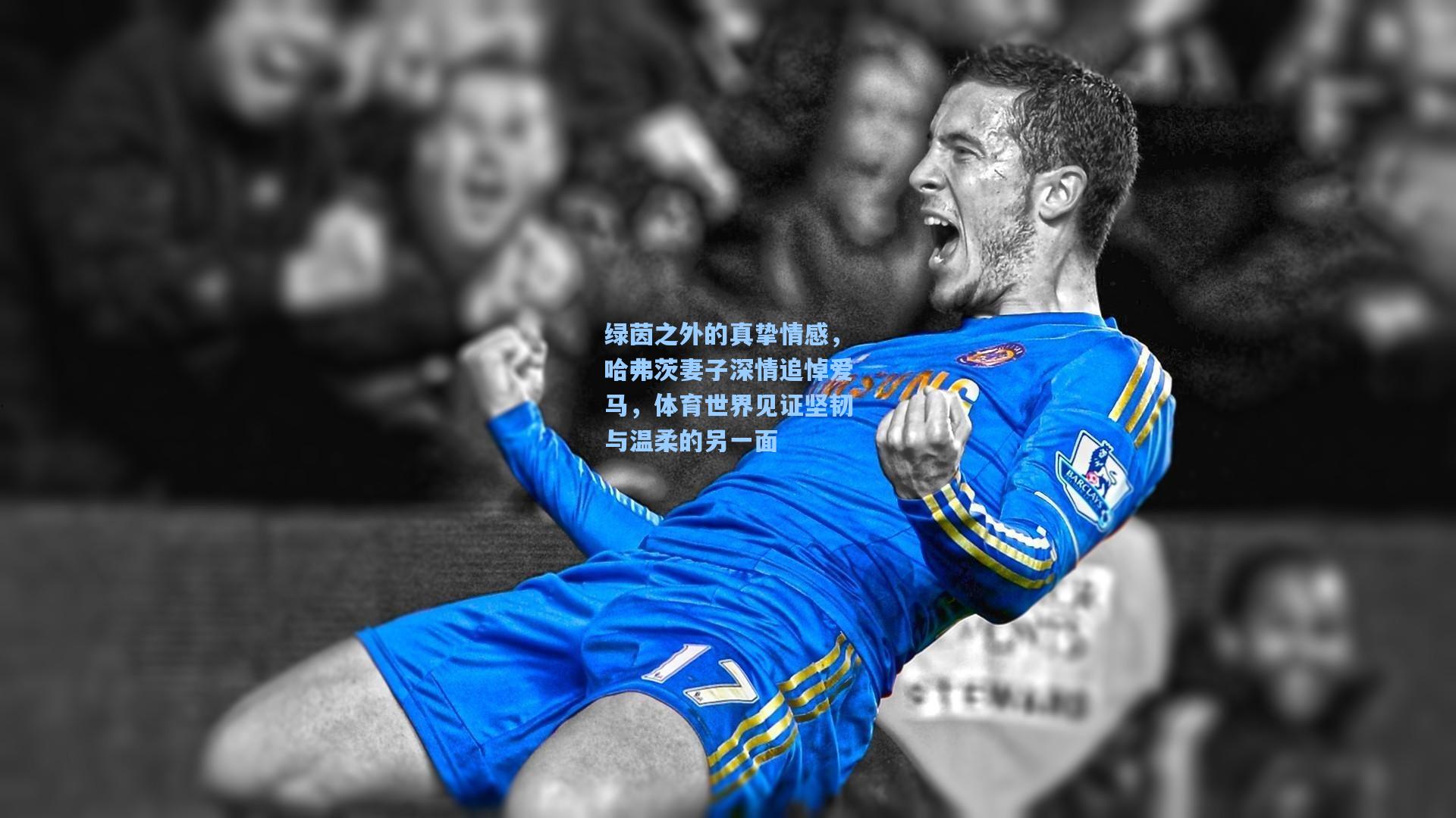 绿茵之外的真挚情感，哈弗茨妻子深情追悼爱马，体育世界见证坚韧与温柔的另一面